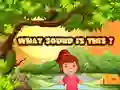 What Sound Is This?