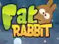 Fat Rabbit Fat Rabbit