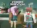 Zombie Survival Zombie Survival