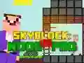 Noob vs Pro Skyblock Noob vs Pro Skyblock