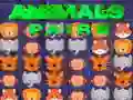 Animals Pairs Animals Pairs