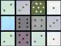 Dice Merger Dice Merger