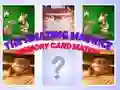 The Amazing Maurice Card Match