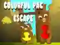 Colorful Pac Escape Colorful Pac Escape