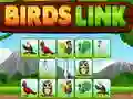 BIRDS LINK BIRDS LINK