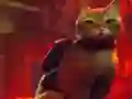 Stray