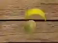 Fruit Shooting