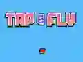 Tap Fly