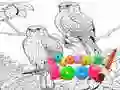 Coloring Book for Adults Coloring Book for Adults