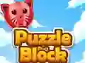 Puzzle Block Puzzle Block