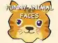 Funny Animal Faces