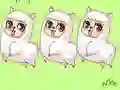 Sheep And Sheep Sheep And Sheep