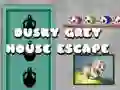 Dusky Grey House Escape Dusky Grey House Escape