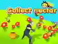 Collect nectar Collect nectar