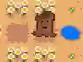 Water the Seed Water the Seed