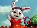 Rabbit Dress Up