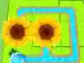 Blossom Paradise Blossom Paradise