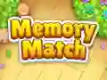 Memory Match Memory Match