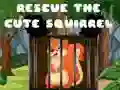 Rescue The Cute Squirrel Rescue The Cute Squirrel