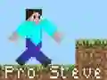 Pro Steve