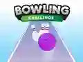 Bowling Challenge Bowling Challenge