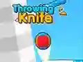 Throwing Knife Throwing Knife