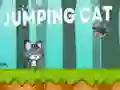 Jumping Cat Jumping Cat