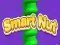 Smart Nut