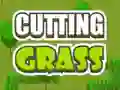 Cutting Grass Cutting Grass
