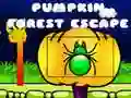 Pumpkin Forest Escape Pumpkin Forest Escape