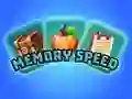 Memory Speed Memory Speed