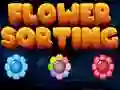 Flower Sorting Flower Sorting