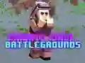Private Pixel Battlegrounds Private Pixel Battlegrounds