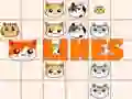 CatLines CatLines