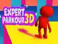 Expert Parkour 3D Expert Parkour 3D