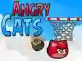 Angry Cats