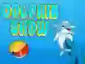 Dolphin Show