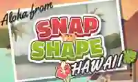 Snap the Shape Hawaii — free online game