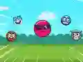 Roller Ball X: Bounce Ball Roller Ball X: Bounce Ball