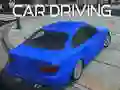 Car Driving Car Driving