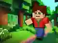 Minicraft Minicraft