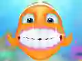 Aqua Fish Dental Care Aqua Fish Dental Care