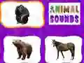 Animal Sounds Animal Sounds