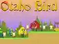 Otaho Bird