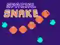 Spacial Snake Spacial Snake