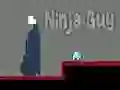 Ninja Guy