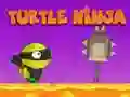 Turtle Ninja
