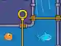 Save the Fish Save the Fish