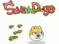 Save The Doge Save The Doge