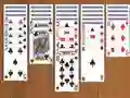 Spider Solitaire Pro Spider Solitaire Pro